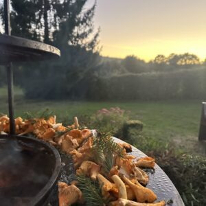OPEN FIRE CAMP VENCIMONT 2 (BE)