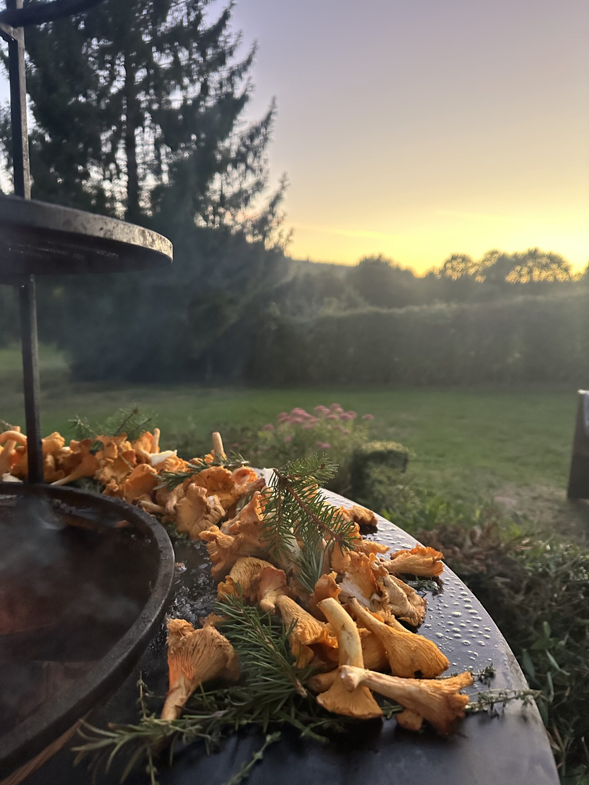 OPEN FIRE CAMP VENCIMONT 2 (BE)