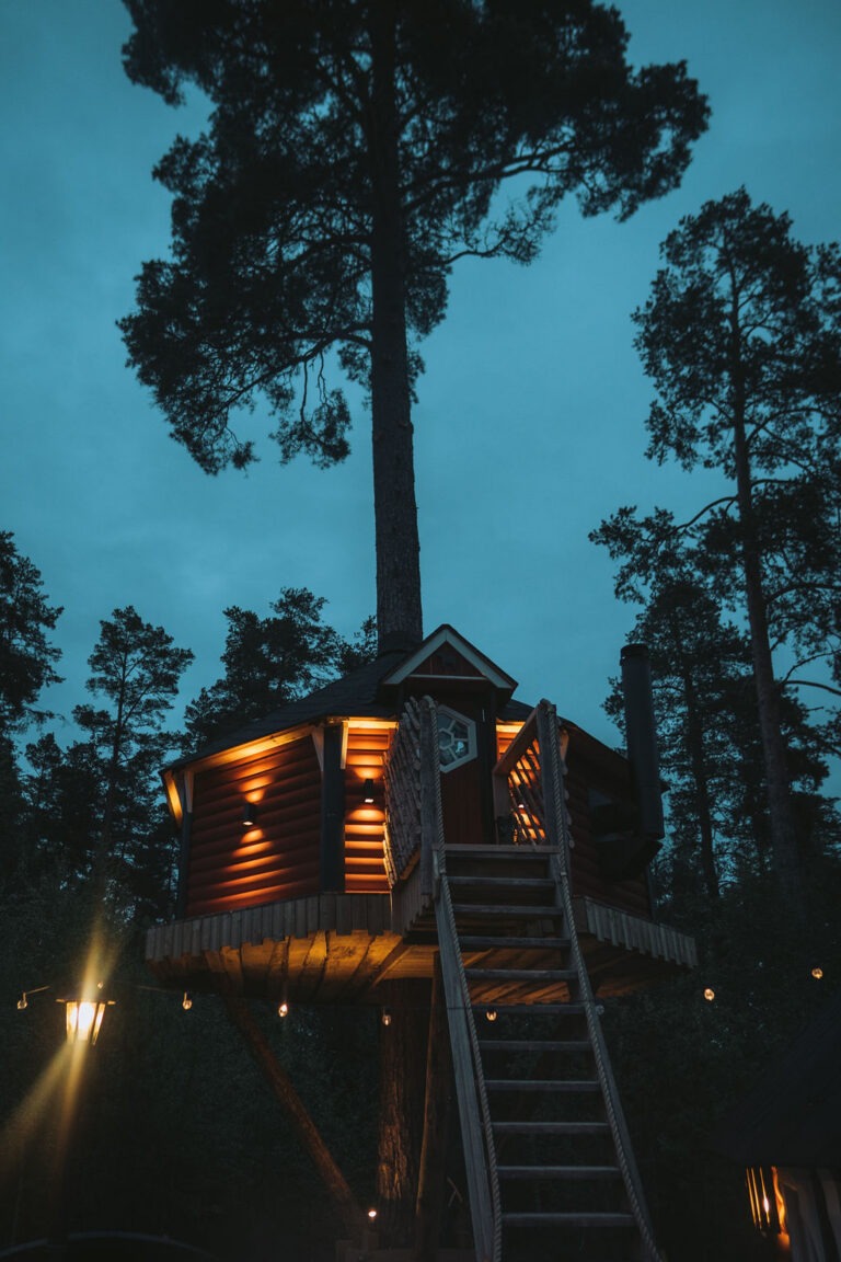 Verlichte boomhut tussen de dennen bij avond